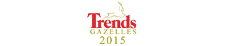 Trends Top 2015 Trends Top 2015
